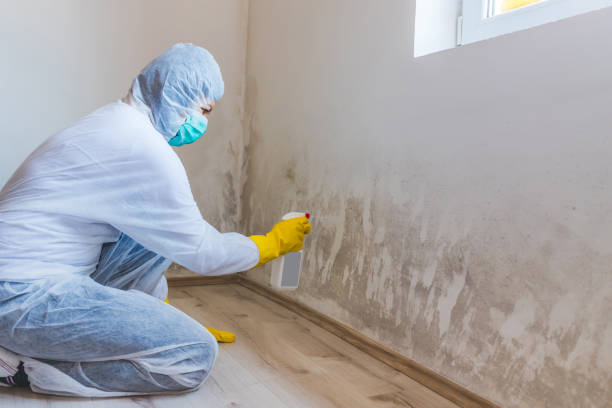 Licensed Mold Remediation service in Richwood, TX - 24 Hour Mold Removal