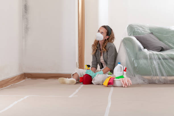Reliable Mold Remediation contractor in Richwood, TX by 24 Hour Mold Removal